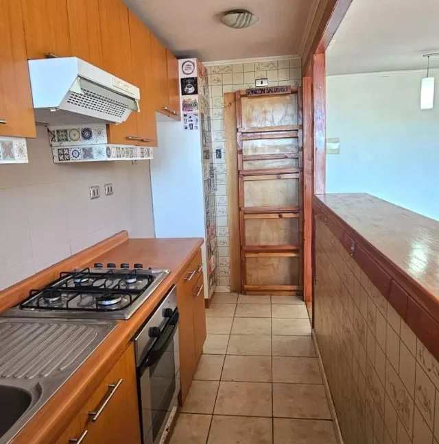 D_NQ_NP_2X_616726-MLC81893503218_012025-F-vende-departamento-en-lomas-san-sebsatian-concepcion